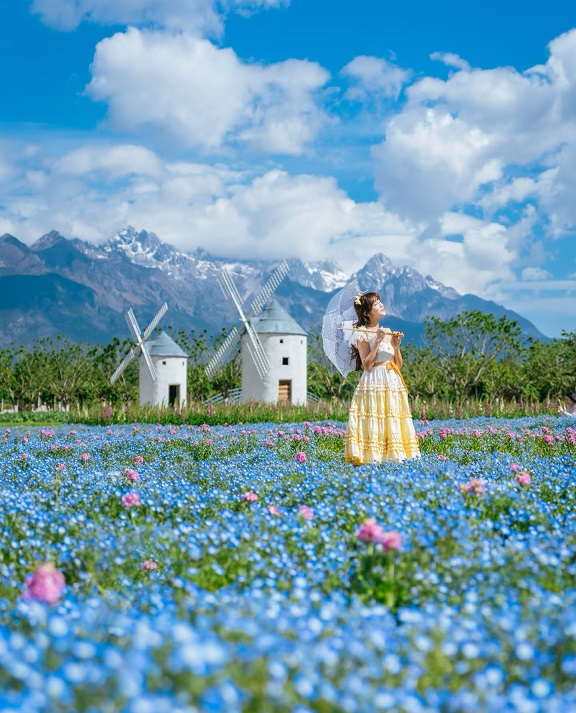 4a97dc9dc2d2f011fb0a8ce2d9696c1