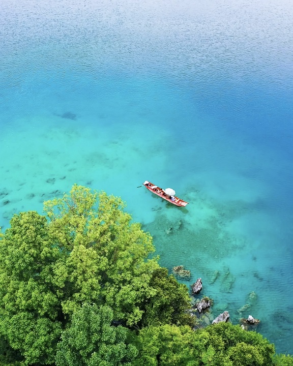 d39e4e19a22fec6ea54f510baff5bb3